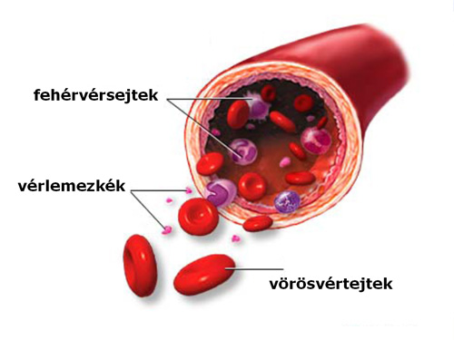 Hígítsa a vért visszérrel, Rosszindulatú tumorok - áttétek - biokémia