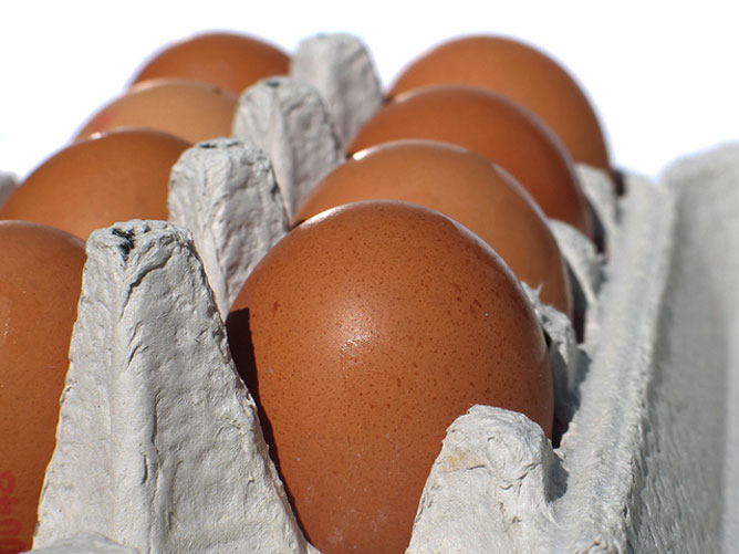 pecsét tojás féreg lehetnek e férgek a zsírból