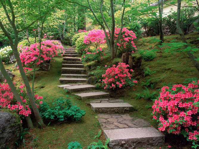 Japán kert.