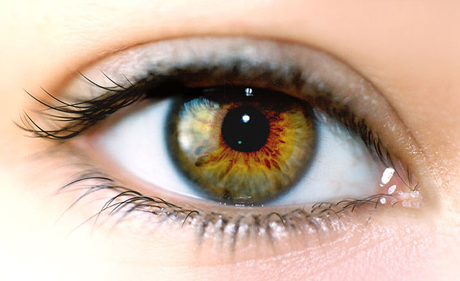10 érdekes tény a szemről és a látásról