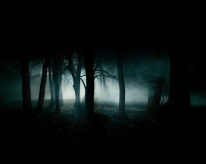Sötét erdő.