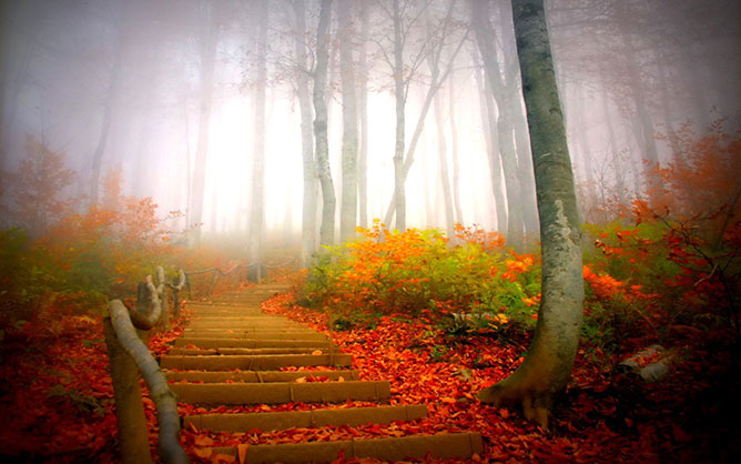 ősz -lépcsők.